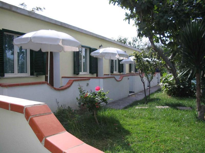 Albergo Villa Hibiscus Forio di Ischia Exteriér fotografie