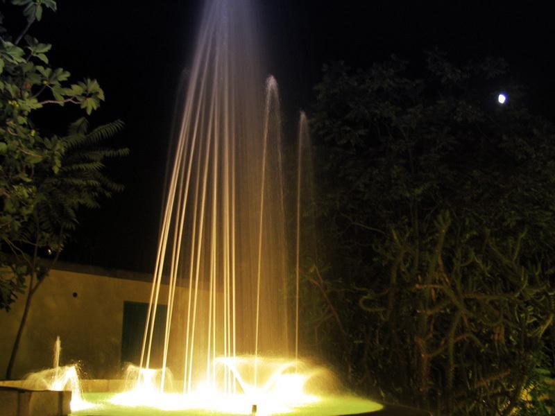 Albergo Villa Hibiscus Forio di Ischia Exteriér fotografie